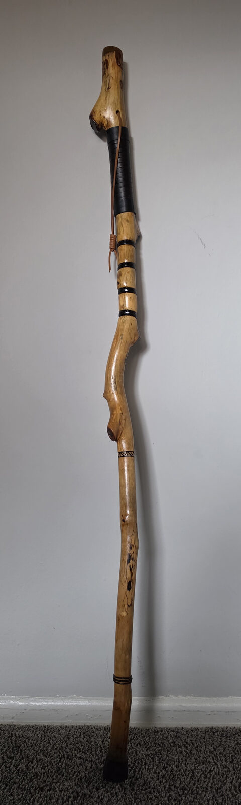 Hiking Stick 1, front view