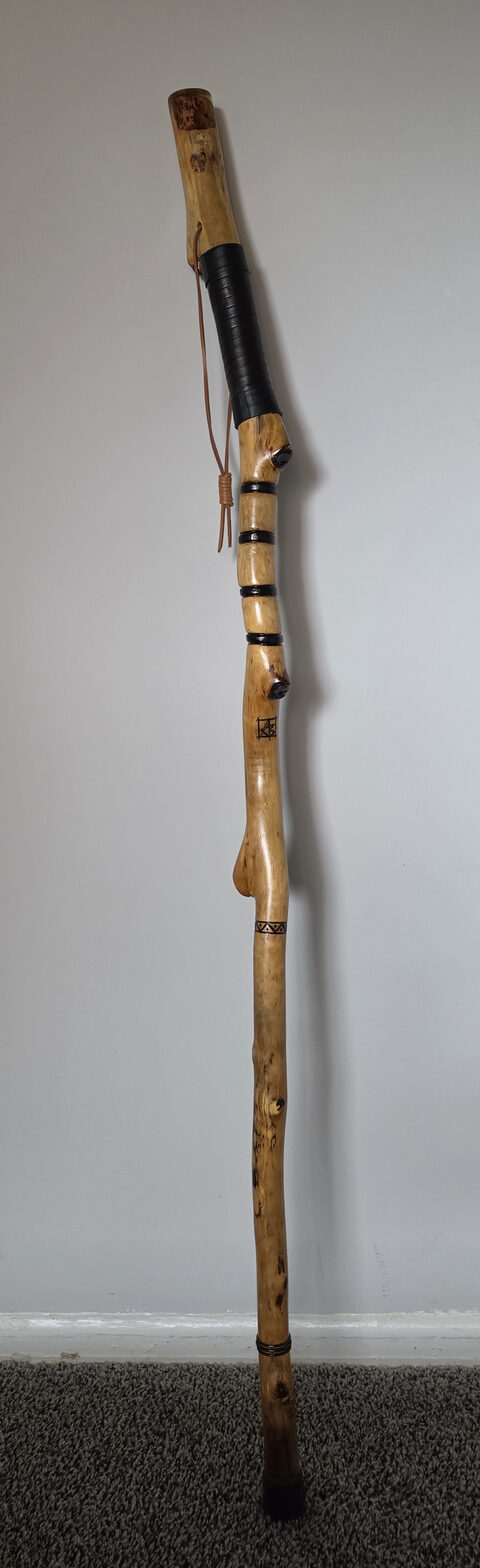 Hiking Stick 1, side view
