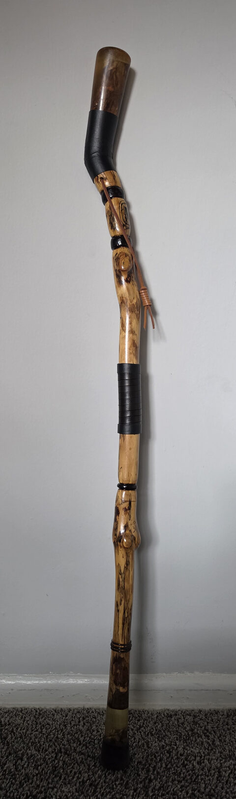 Hiking Stick 2, front view